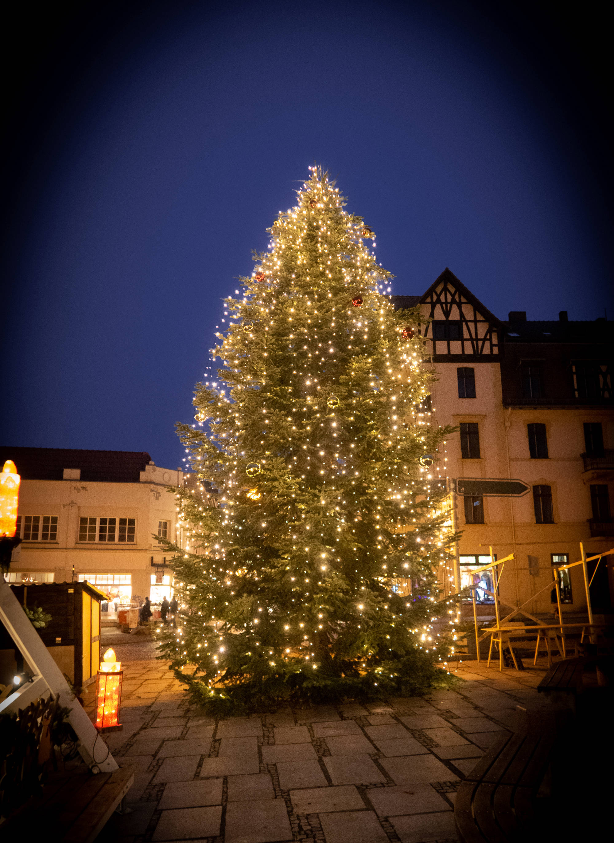 Lichttechnik Busch Bad Freienwalde Baumbeleuchtung